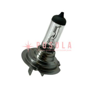 24V/H7 FAR AMPULÜ